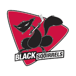 Black Squirrels